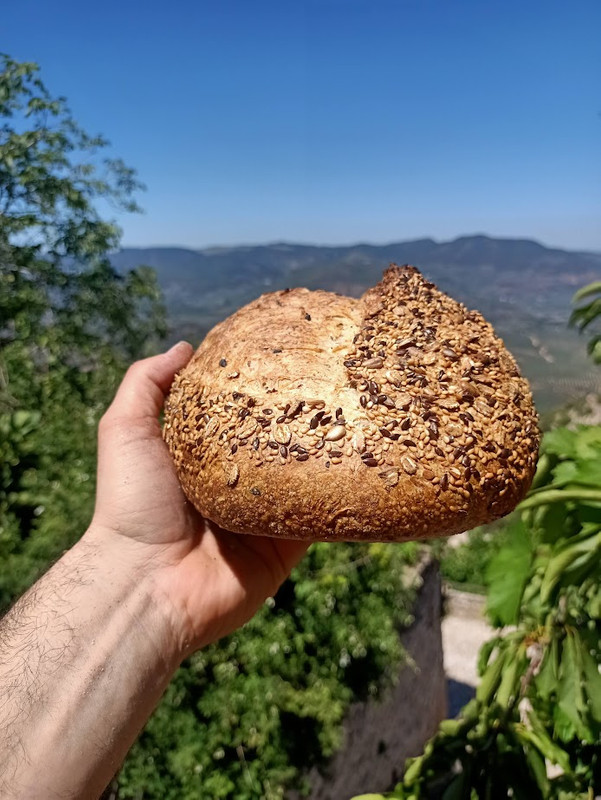 Pan de Semillas