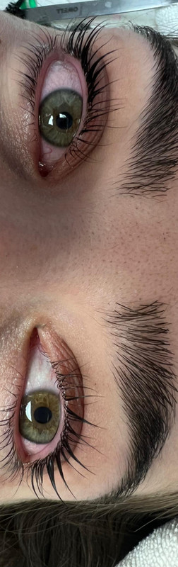 L’mon estilistas 5