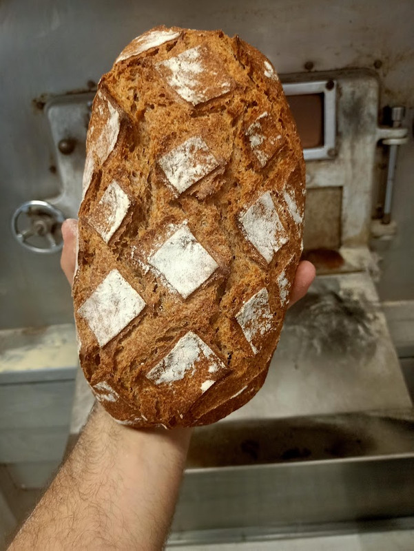 Pan de Espelta Integral 100%