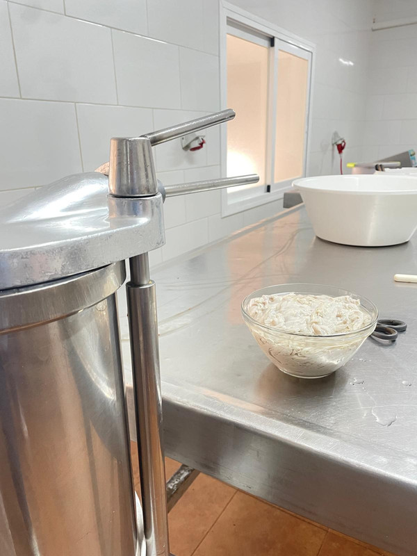 Carnicería Mercedes Cuadros Vivo 10