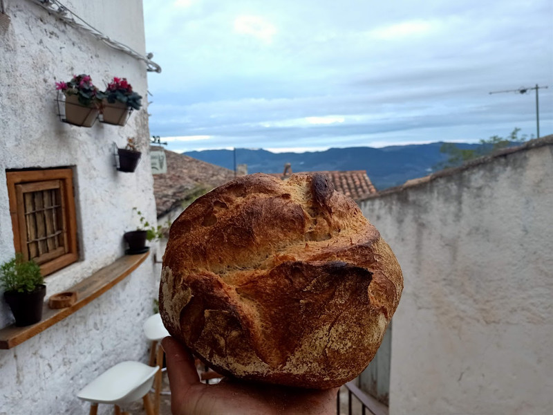 Pan Payes o Cortijero